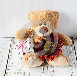 Plush soft toy teddy bear with flowers brown red sunflower and gift box. Greeting card. Children`s cute background for gift bags.