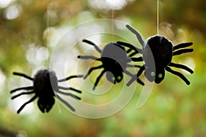 Plush Spiders