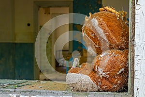 Plush teddy bear toy at a window of a house inside of the Chernobyl Exclusion Zone in the Ukraine