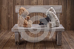 Plush Teddy bears photographer