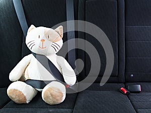 Plush toy cat fastened with seatbelt in the back seat of a car, safety on the road. Protection concept.