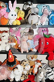 Plush toys for children in kids room