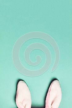 Plushy bunny ears  on bright background. Easter minimal concept