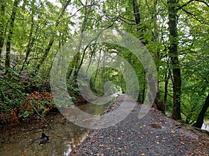 Plym Bridge Disused canal River Plym