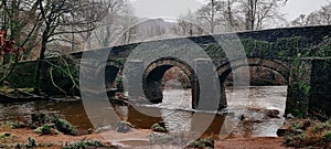 PLYM BRIDGE.  Plym Valley Plymouth. River Plym Devon uk