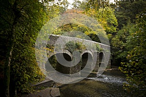 Plym Bridge ,River Plym , Plym Valley ,Dartmoor