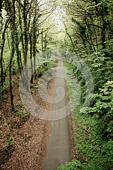 Plym valley Cycle path ,Dartmoor, devon photo