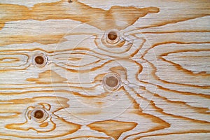 Plywood board made of softwood photo