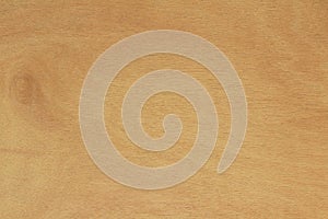 Plywood board texture in natural patterns with high resolution, wooden grained background.