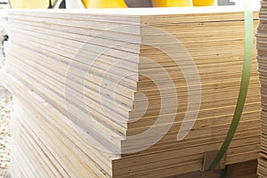 Plywood for construction.Finishing material. Building material