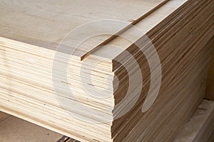 Plywood for construction.Finishing material. Building material