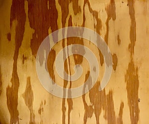Plywood Floor Texture Background