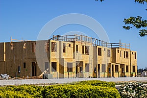 Plywood And Framing On New Construction Apartment Building