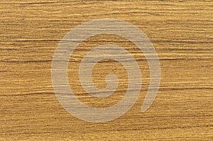 Plywood surface in natural pattern with high resolution. Wooden grained texture background