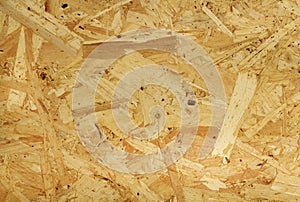 Plywood surface in natural pattern with high resolution. Wooden grained texture background