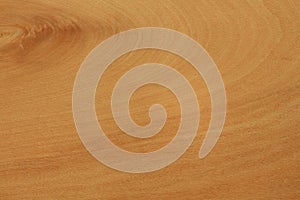 Plywood surface in natural pattern with high resolution. Wooden grained texture background