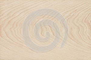 Plywood surface in natural pattern with high resolution. Wooden grained texture background