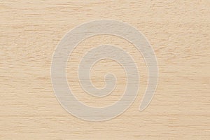 Plywood surface in natural pattern with high resolution. Wooden grained texture background