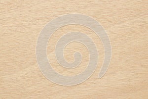 Plywood surface in natural pattern with high resolution. Wooden grained texture background