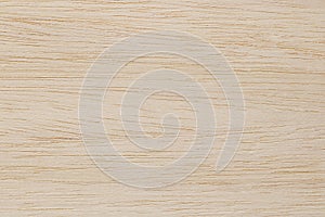 Plywood surface in natural pattern with high resolution. Wooden grained texture background