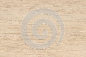 Plywood surface in natural pattern with high resolution. Wooden grained texture background