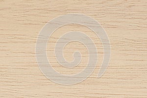 Plywood surface in natural pattern with high resolution. Wooden grained texture background