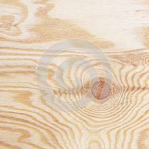 Plywood texture with gnarl and natural wood pattern