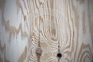 Plywood texture with gnarl and natural wood pattern.
