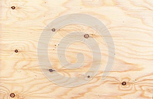 Plywood texture. Wooden background from plywood sheet photo