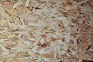 Plywood Wall Abstract