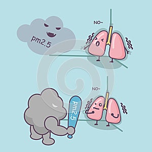 PM 2.5 unhealthy lung