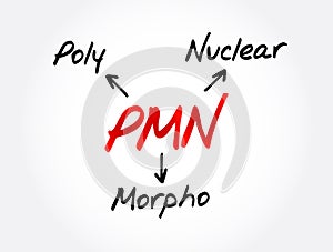 PMN PolyMorphoNuclear - having a nucleus with several lobes and a cytoplasm that contains granules, as in an eosinophil or photo