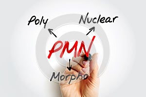 PMN PolyMorphoNuclear - having a nucleus with several lobes and a cytoplasm that contains granules, as in an eosinophil or photo