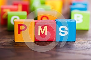 PMS Word Made With Blocks