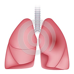 Pneumonia disease lungs icon, realistic style