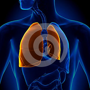 Pneumothorax - Collapsed Lung