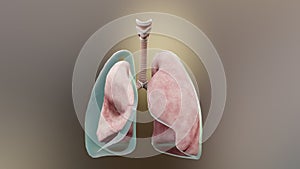 Pneumothorax, Normal lung versus collapsed, symptoms of pneumothorax