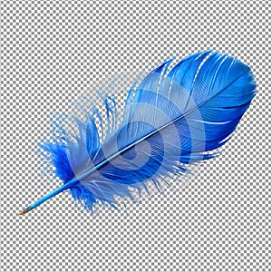 PNG A Lightweight Blue Feather