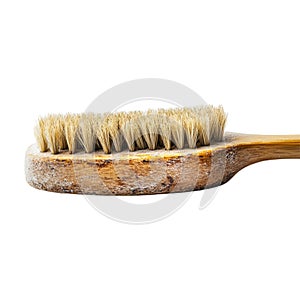 PNG Small Cleaning Brush on Transparent Background - Ai Generated