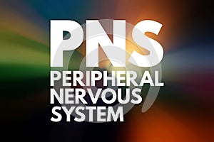 PNS - Peripheral Nervous System acronym, medical concept background