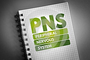 PNS - Peripheral Nervous System acronym on notepad, medical concept background