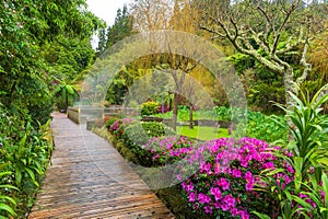 PoÃ§as da Dona Beija hot springs, in Sao Miguel, Azores photo