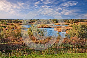 Po Delta Park, Veneto, Italy: landscape of the swamp with a pink