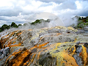 Po Hutu Geyser, Rotorua, New Zealand photo