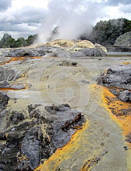 Po Hutu Geyser, Te Puia, Rotorua, New Zealand photo