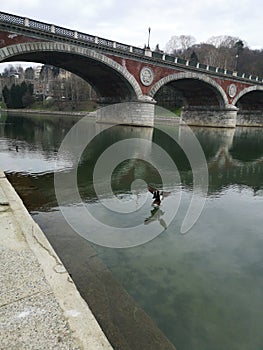 Po river in Turin