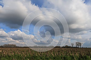 Po Valley fields sun corn sky clouds blue characteristic