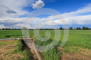 Po Valley Italy Europe landscape nature naturalistic