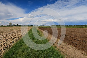 Po Valley Italy Europe landscape nature naturalistic photo