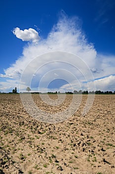 Po Valley Italy Europe landscape nature naturalistic photo